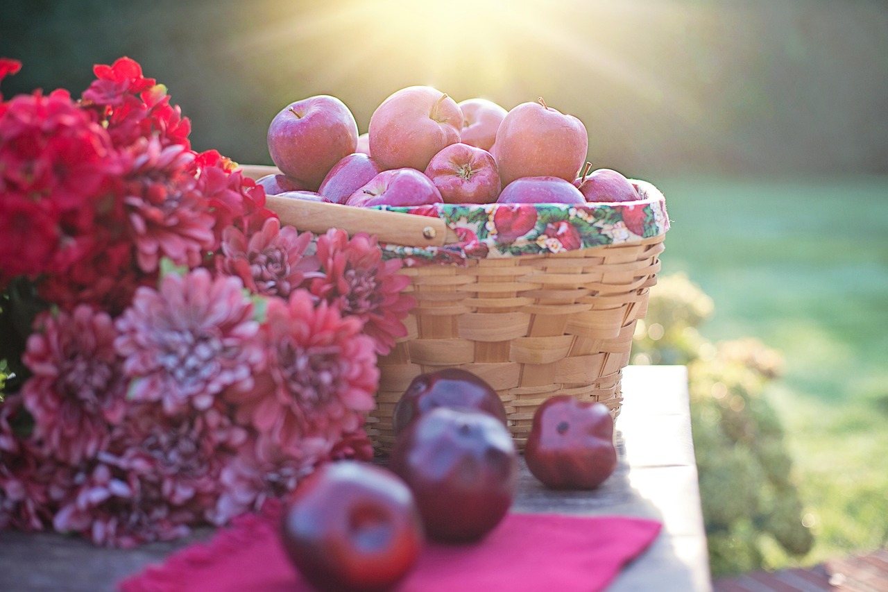 apples, fruits, autumn, fall, fall scene, autumn scene, still life, picnic, fall scene, fall scene, fall scene, picnic, picnic, picnic, picnic, picnic